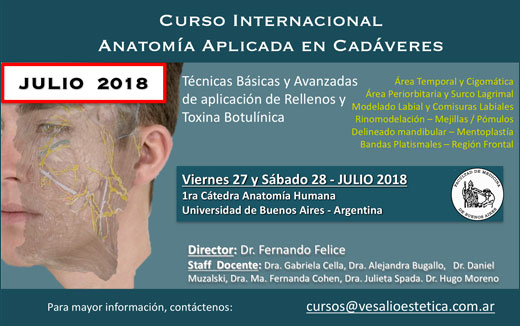 Curso Internacional Anatomía Aplicada en Cadáveres: técnicas básicas y avanzadas de aplicación de rellenos faciales y toxina botulínica Curso Internacional Anatomía Aplicada en Cadáveres: técnicas básicas y avanzadas de aplicación de rellenos faciales y toxina botulínica