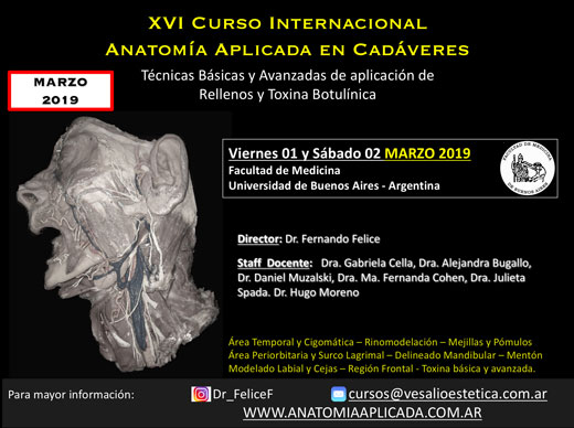 Curso Internacional Anatom&iacute;a Aplicada en Cad&aacute;veres: t&eacute;cnicas b&aacute;sicas y avanzadas de aplicaci&oacute;n de rellenos faciales y toxina botul&iacute;nica