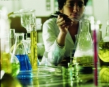 Absorci�n percut�nea