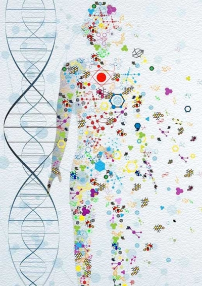 Consulta, diagn�stico y terap�utica ortomolecular