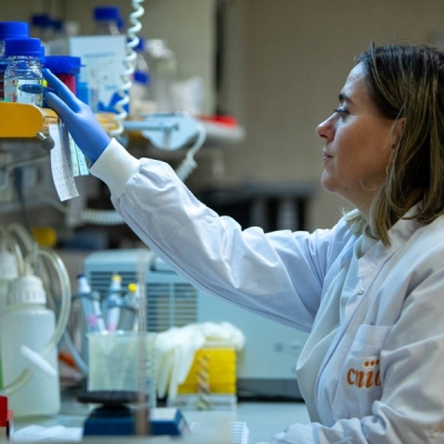 Una investigaci�n identifica a la prote�na MCJ como clave para �quemar� grasa